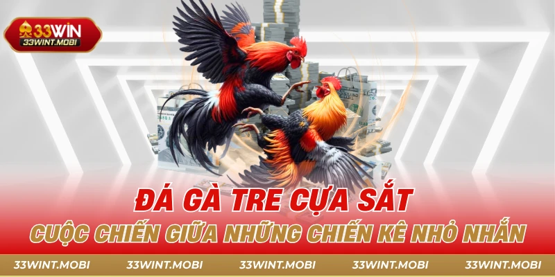 Đá gà tre cựa sắt 33win